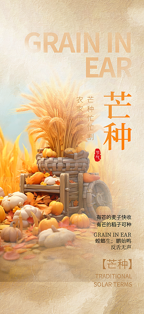 传统大气芒种二十四节气海报