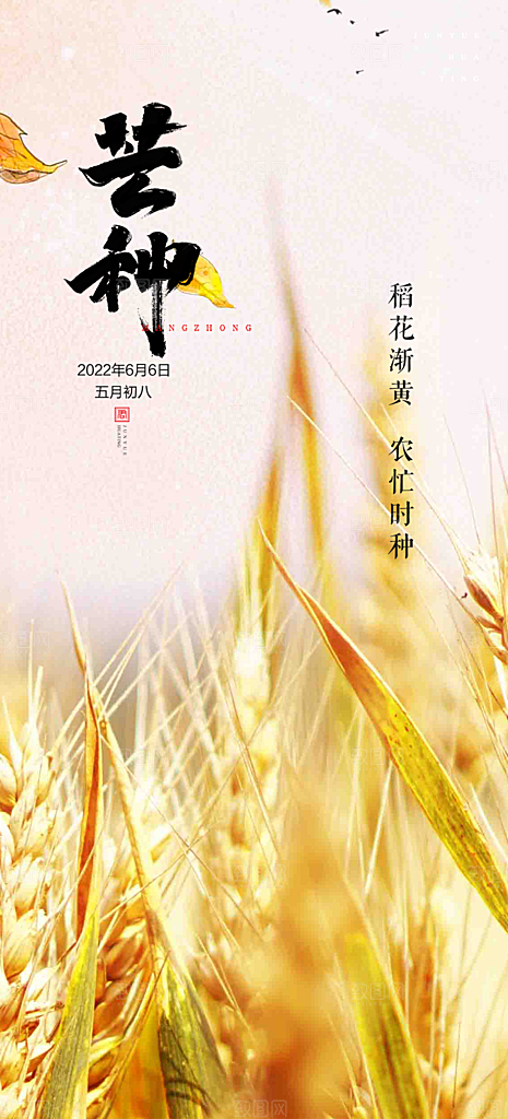 传统大气芒种二十四节气海报