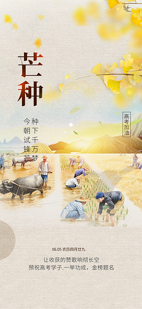 传统大气芒种二十四节气海报