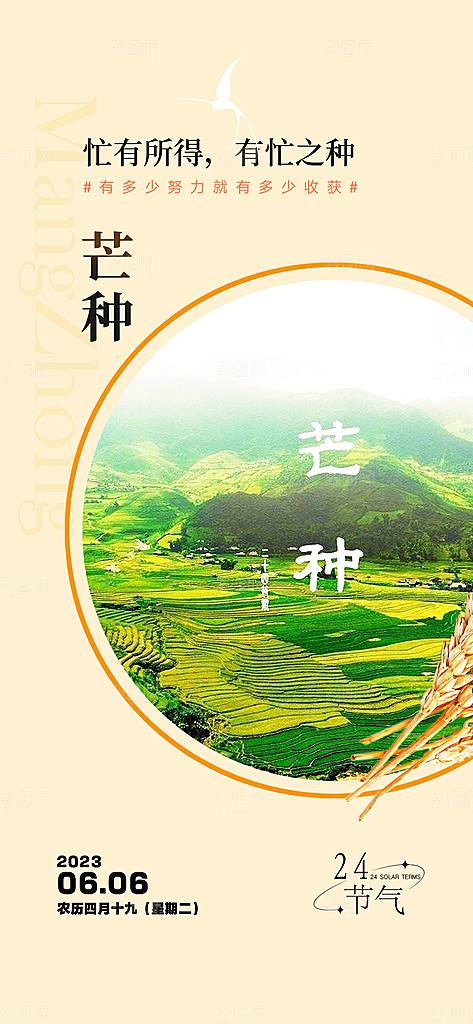 传统大气芒种二十四节气海报