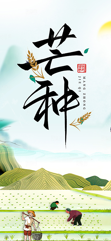 传统大气芒种二十四节气海报