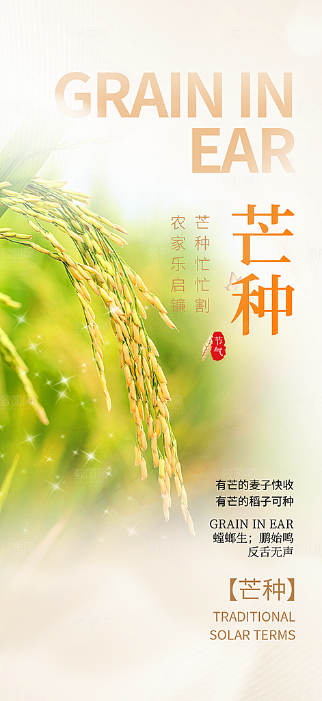 传统芒种二十四节气海报