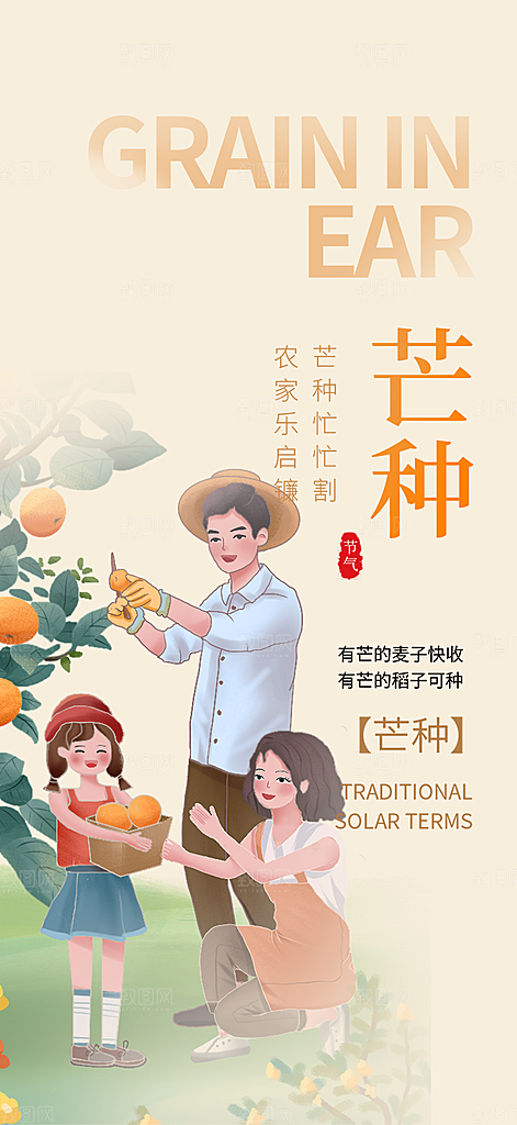传统芒种二十四节气海报
