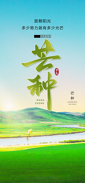 传统芒种二十四节气海报