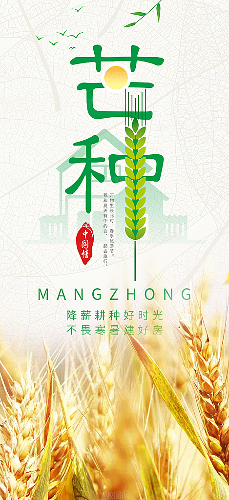 传统芒种二十四节气海报
