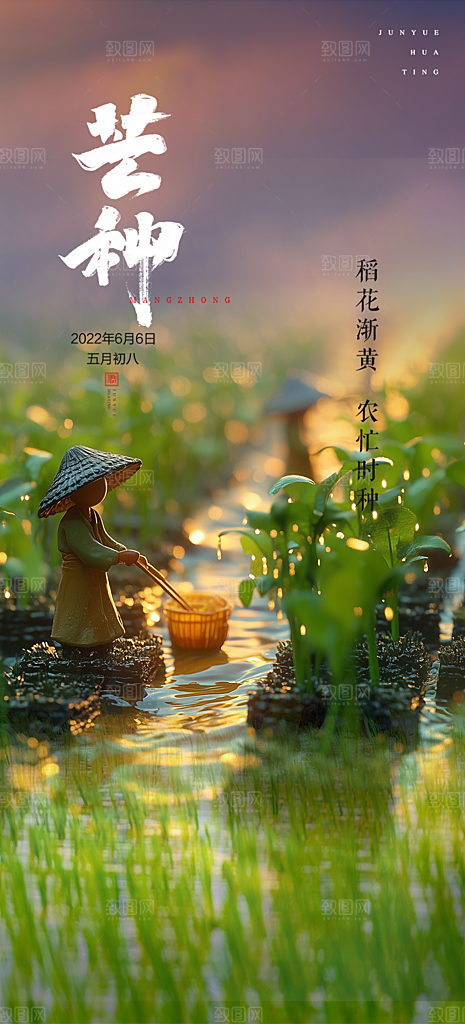 传统芒种二十四节气海报