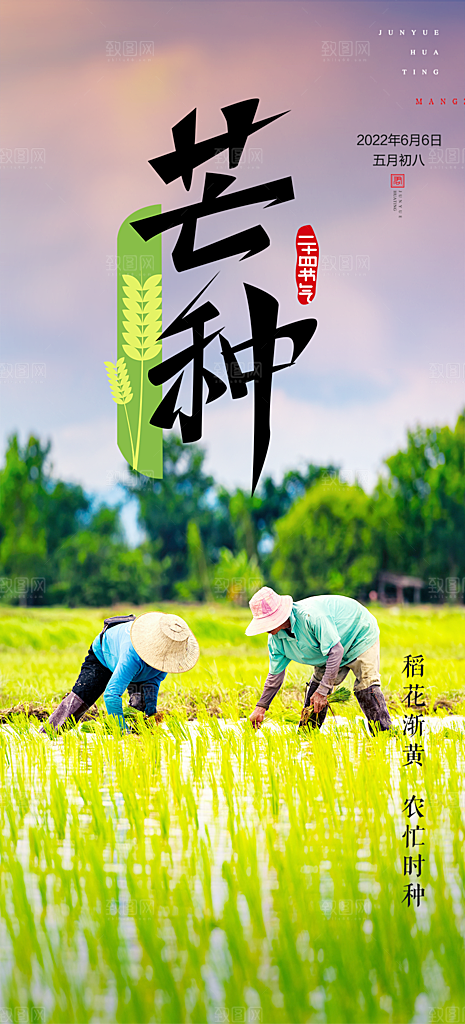 传统芒种二十四节气海报