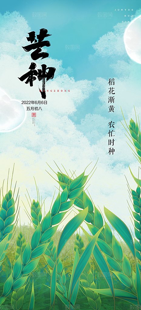 大气传统芒种二十四节气海报