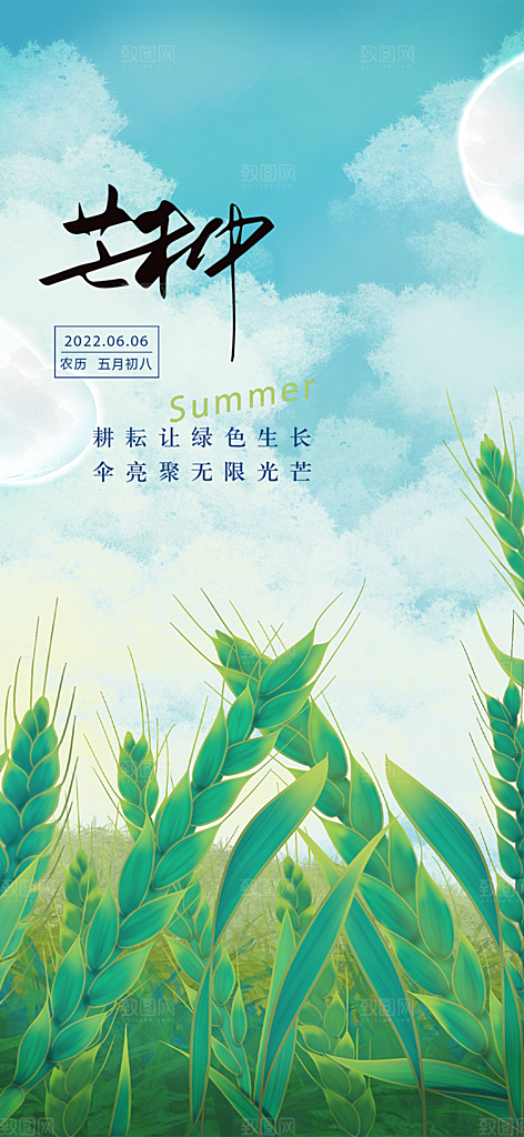 大气传统芒种二十四节气海报