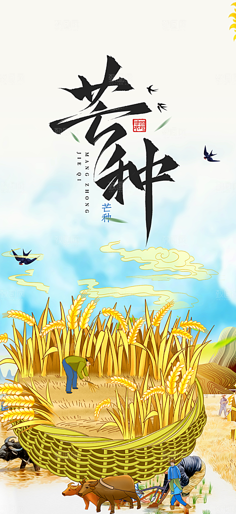 大气传统芒种二十四节气海报