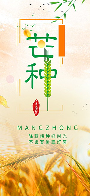 大气传统芒种二十四节气海报