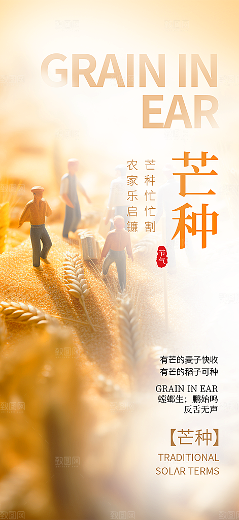 大气传统芒种二十四节气海报