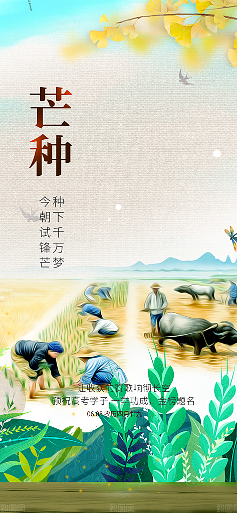 大气传统芒种二十四节气海报