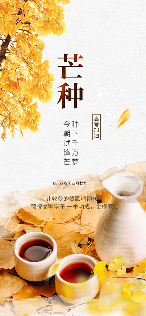 大气传统芒种二十四节气海报