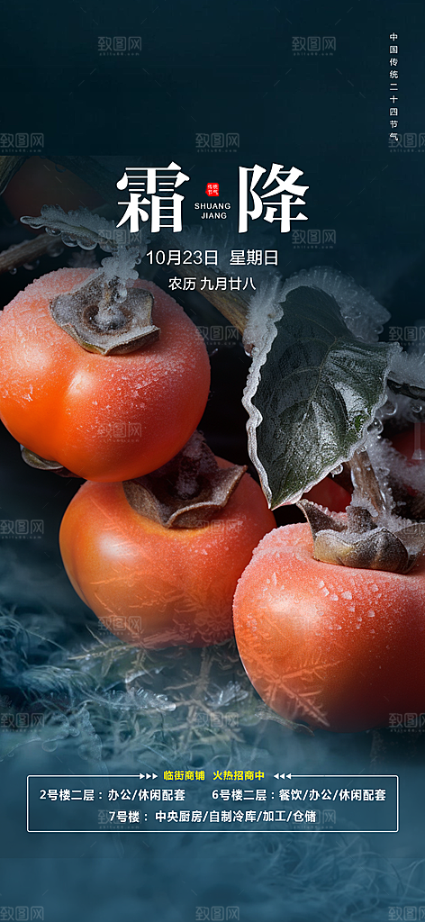 清新节日传统霜降二十四节气海报