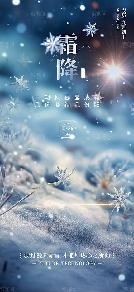 大气传统霜降二十四节气海报