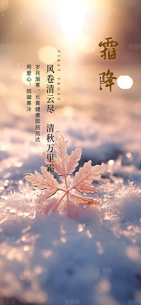 大气传统霜降二十四节气海报