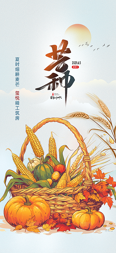 大气传统芒种二十四节气海报
