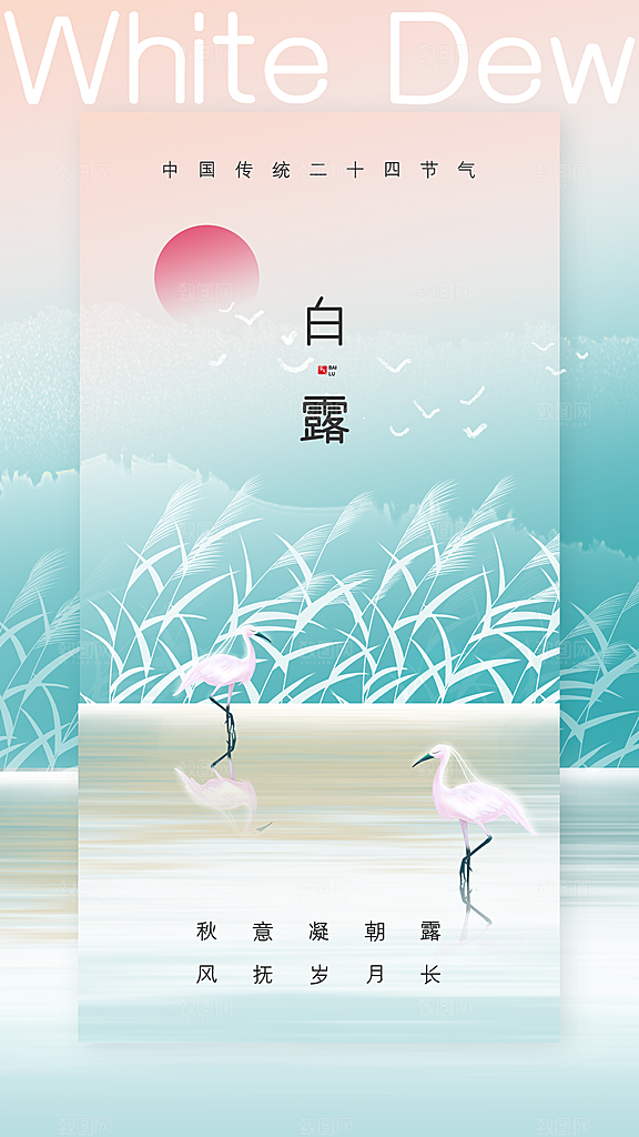 二十四节气白露海报