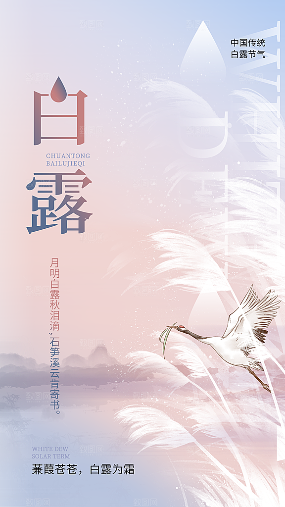 二十四节气白露海报