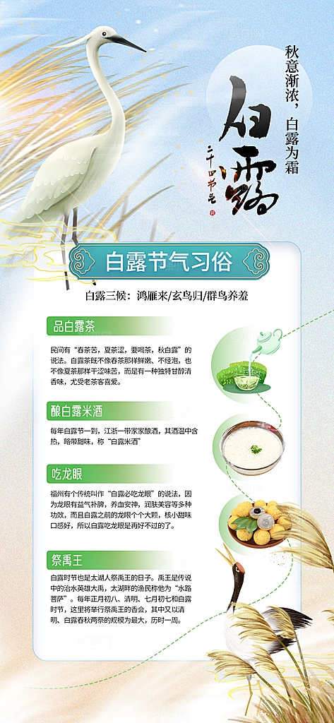 二十四节气白露海报