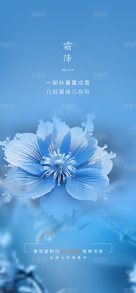 节日传统霜降二十四节气海报