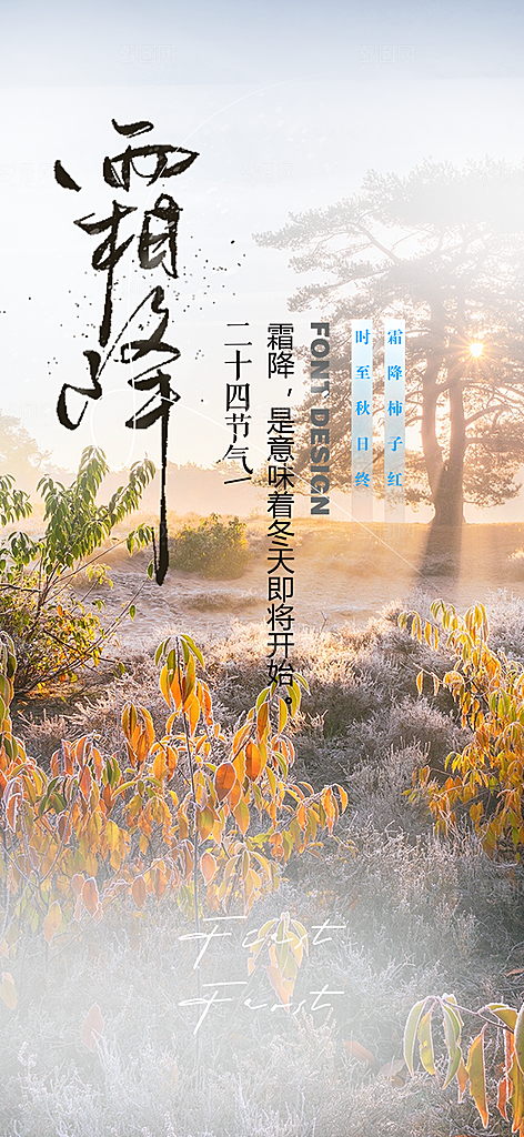 霜降二十四节气海报
