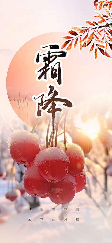 大气传统霜降二十四节气海报
