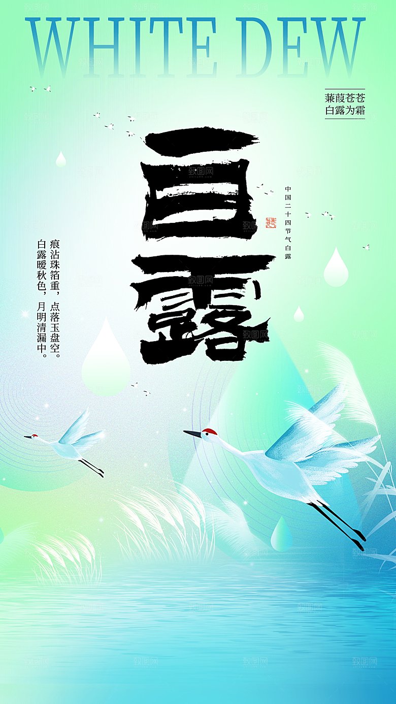 二十四节气白露海报