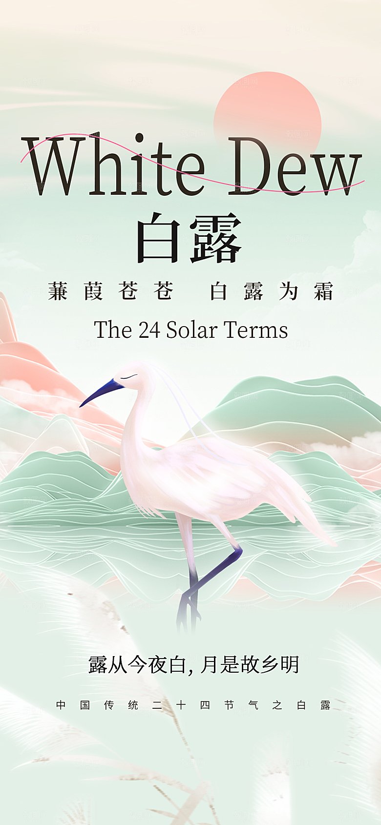 二十四节气白露海报