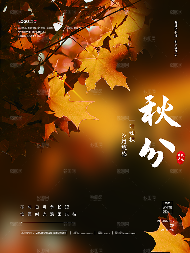传统二十四节气秋分海报模板