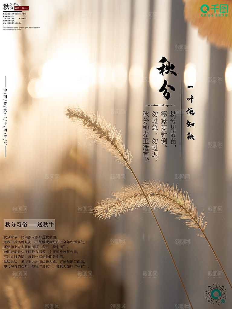 传统二十四节气秋分海报模板