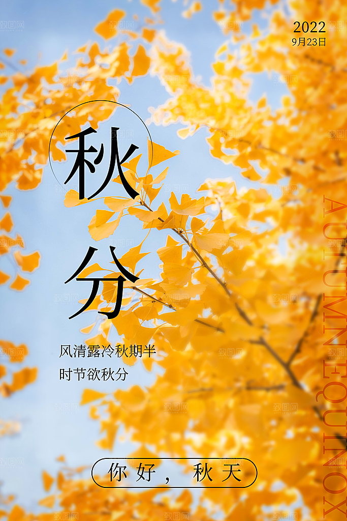 传统二十四节气秋分宣传海报模板