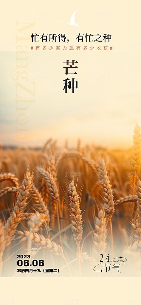 芒种二十四节气海报