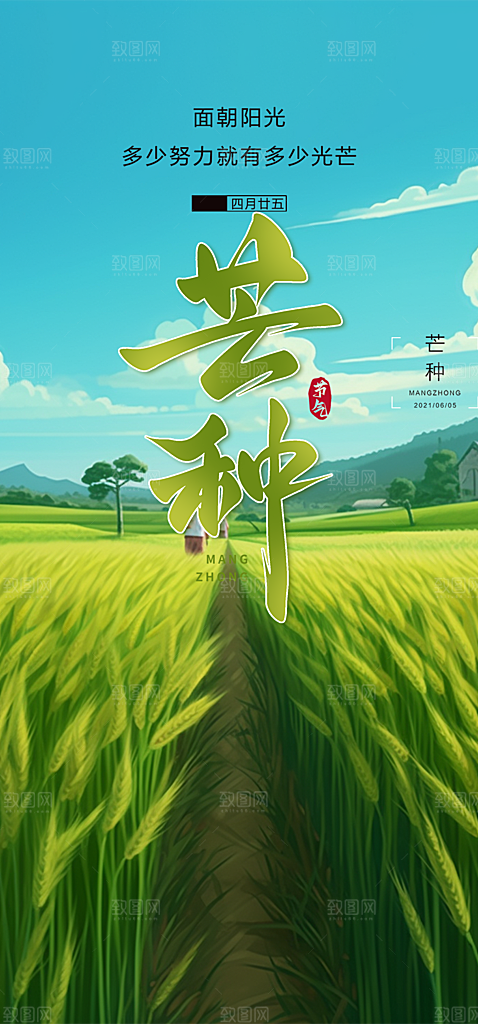 芒种二十四节气海报