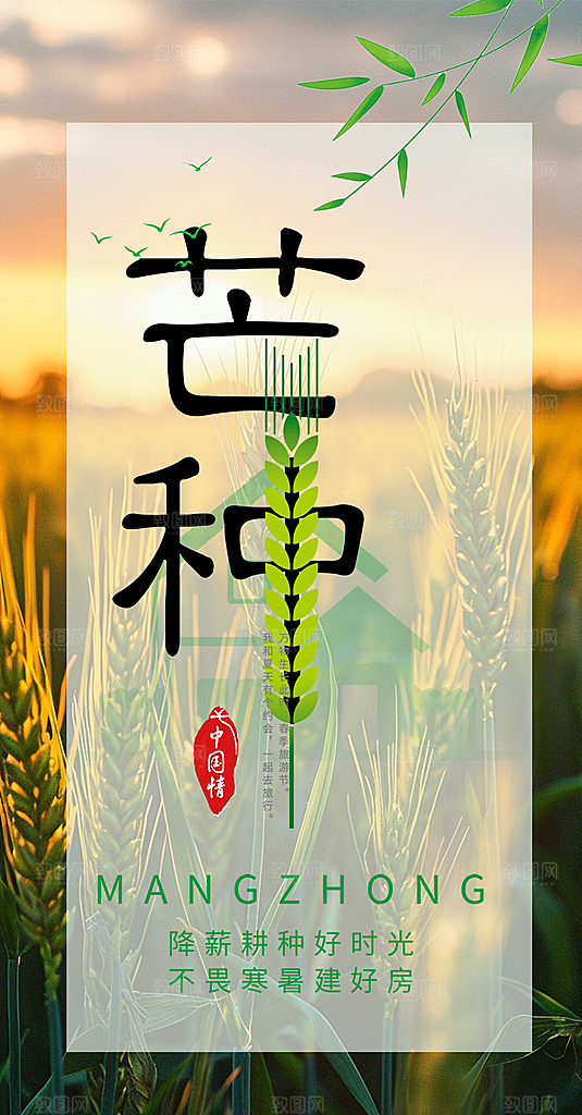 芒种二十四节气海报