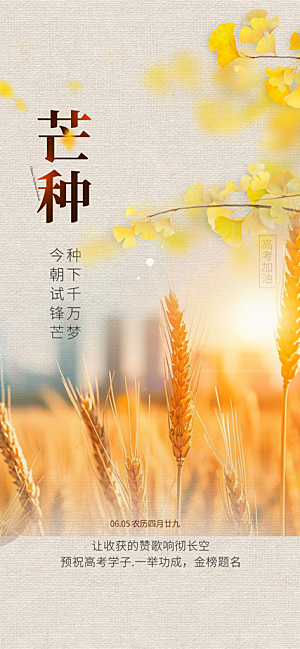芒种二十四节气海报