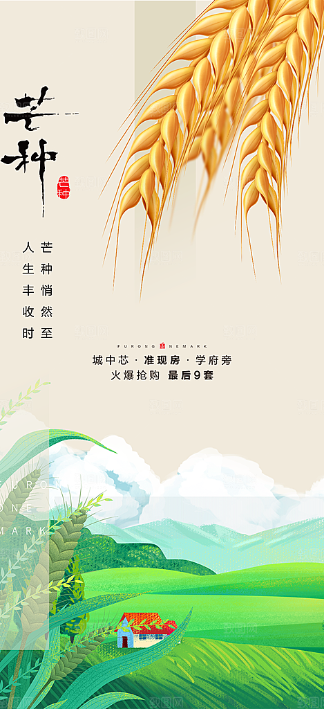 芒种二十四节气海报