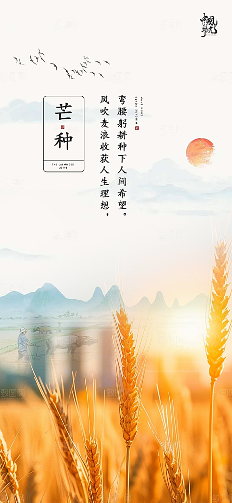 芒种二十四节气海报