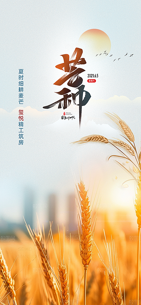 芒种二十四节气海报