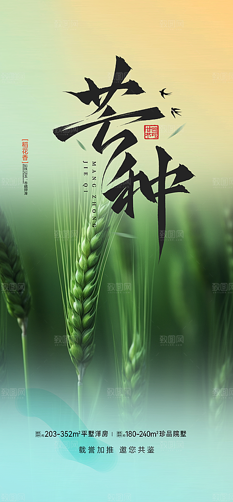 芒种二十四节气海报
