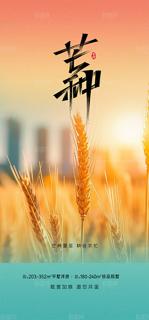 传统芒种二十四节气海报