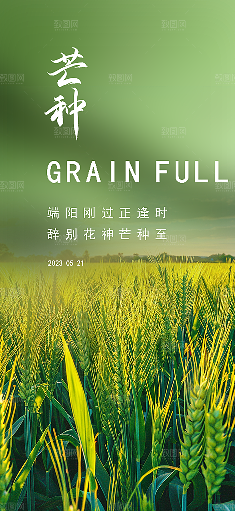传统芒种二十四节气海报