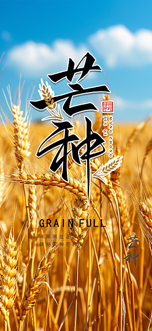 传统芒种二十四节气海报