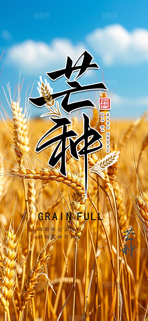 传统芒种二十四节气海报