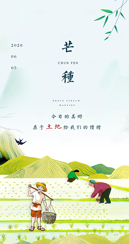 传统芒种二十四节气海报