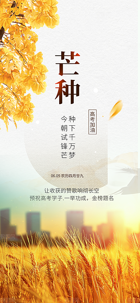 传统芒种二十四节气海报