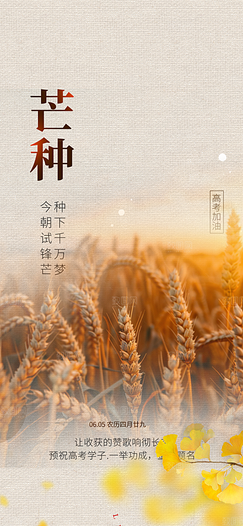 传统芒种二十四节气海报