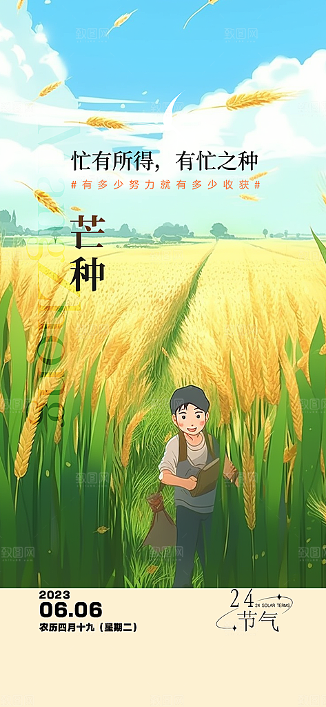传统芒种二十四节气海报