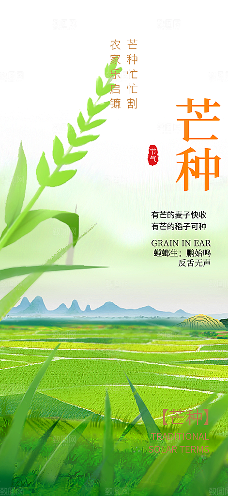 传统芒种二十四节气海报